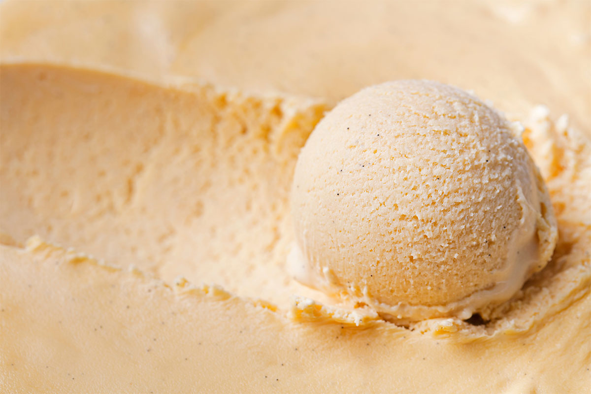 Coconut Maple Porter Ice Cream