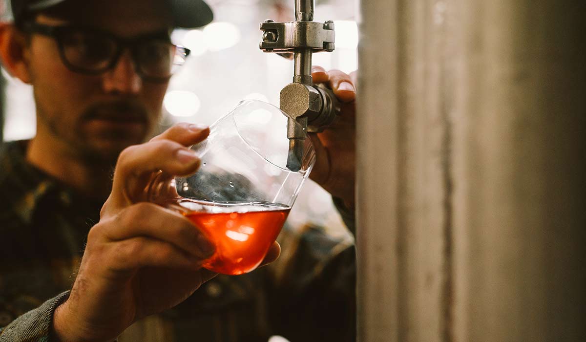 brewing rosé beer