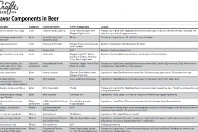 Flavor Components in Beer chart